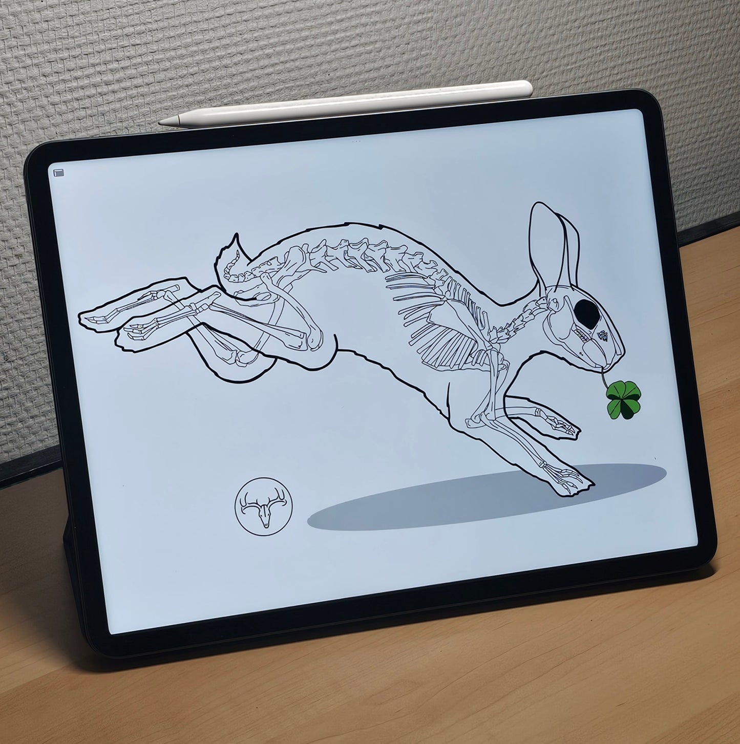 Bouteille d'eau Lapin porte bonheur acier inoxydable 483 ml (17 oz)