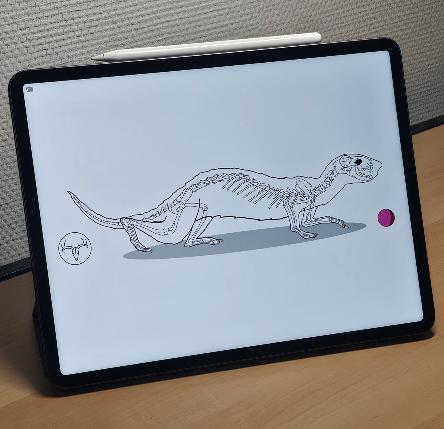 Poster Furet qualité musée en papier mat A3 (29.7 x 42 cm)