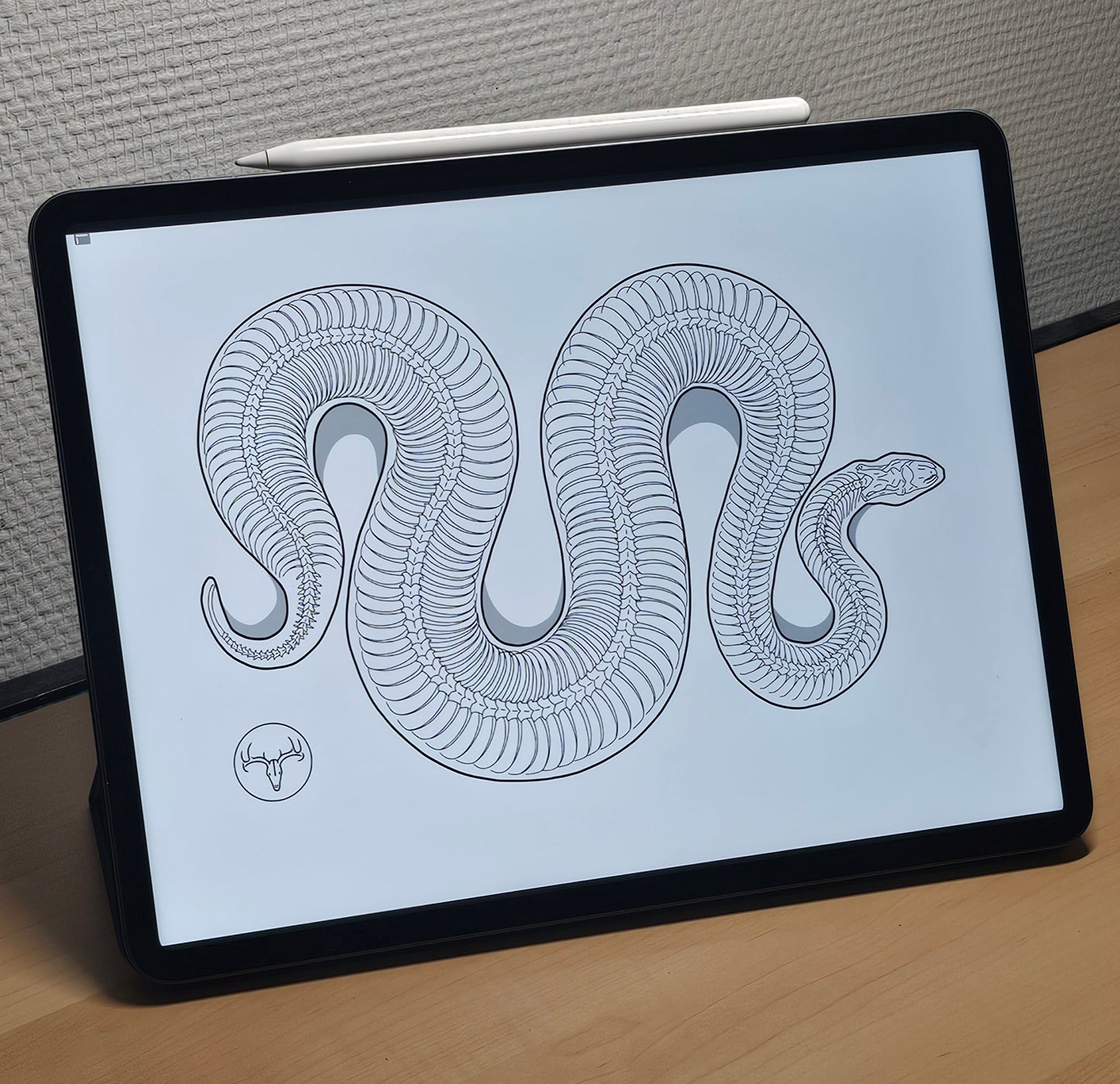 Bouteille d'eau Serpent acier inoxydable 483 ml (17 oz)