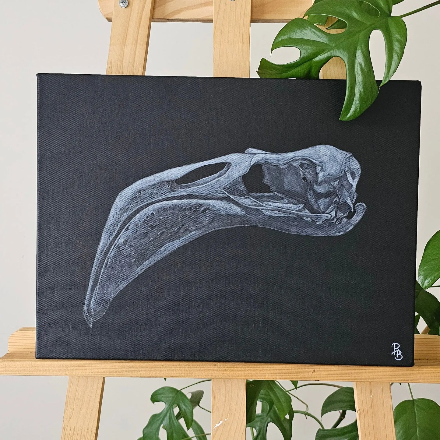 Crâne flamant rose Dessine moi un squelette