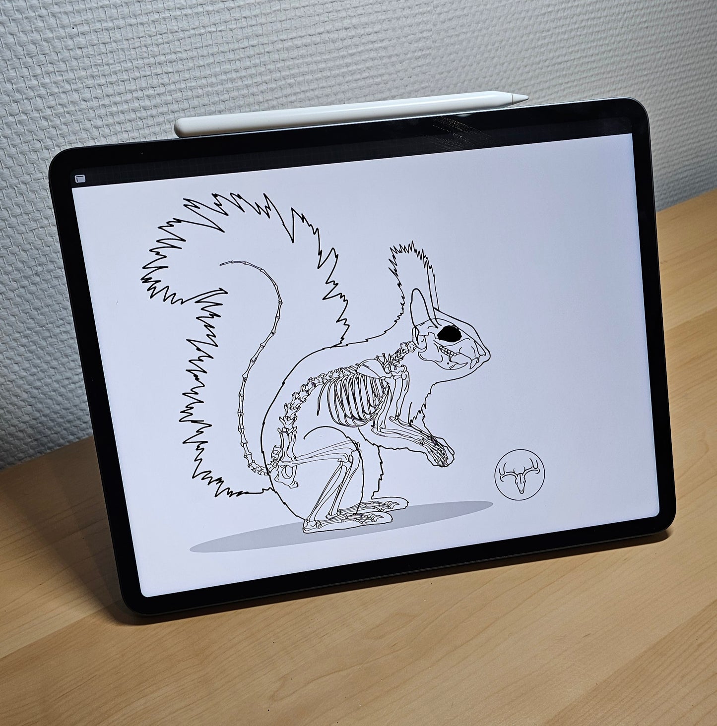 Poster Ecureuil qualité musée en papier mat A3 (29.7 x 42 cm)