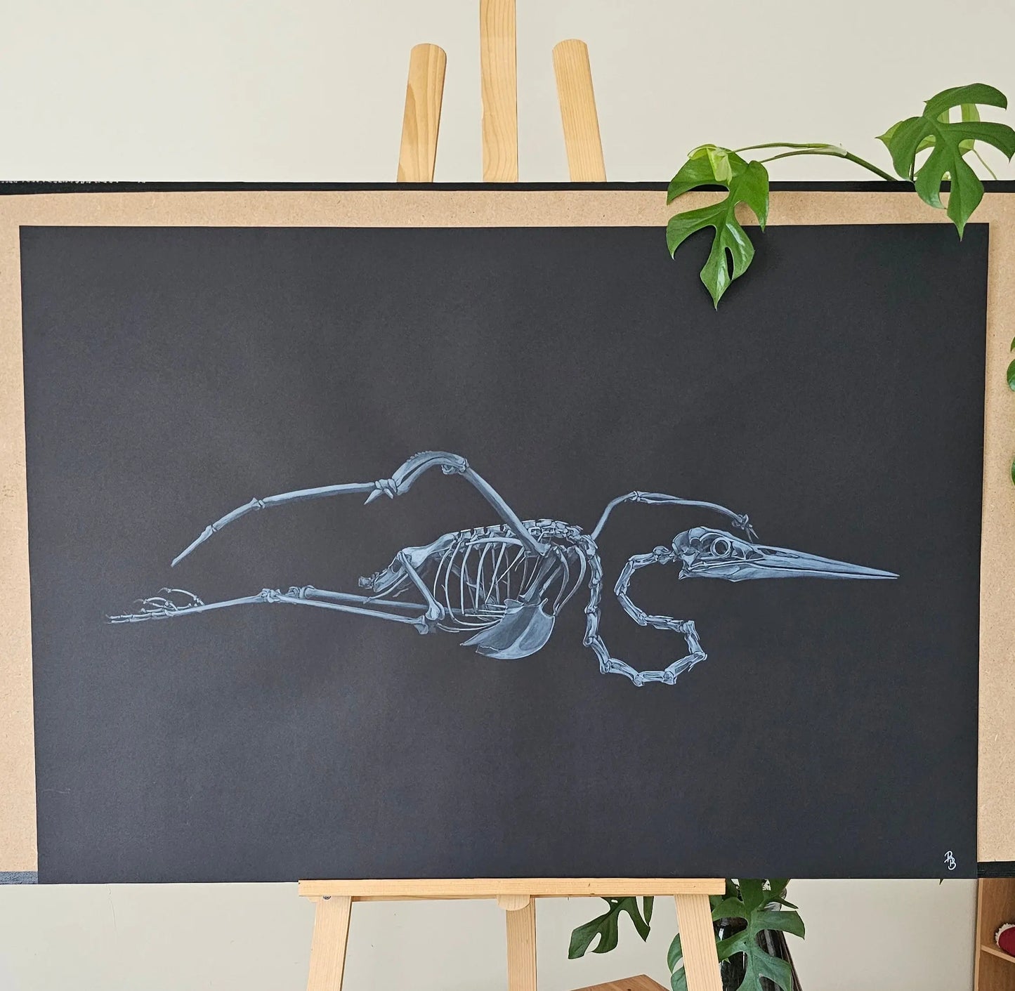 Héron Dessine moi un squelette