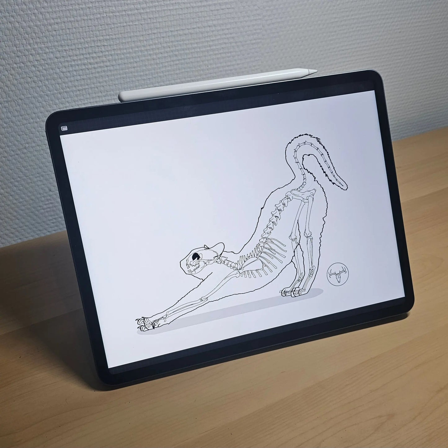 Mug Chat qui S'étire - 443 ml (15 oz) Dessine moi un squelette