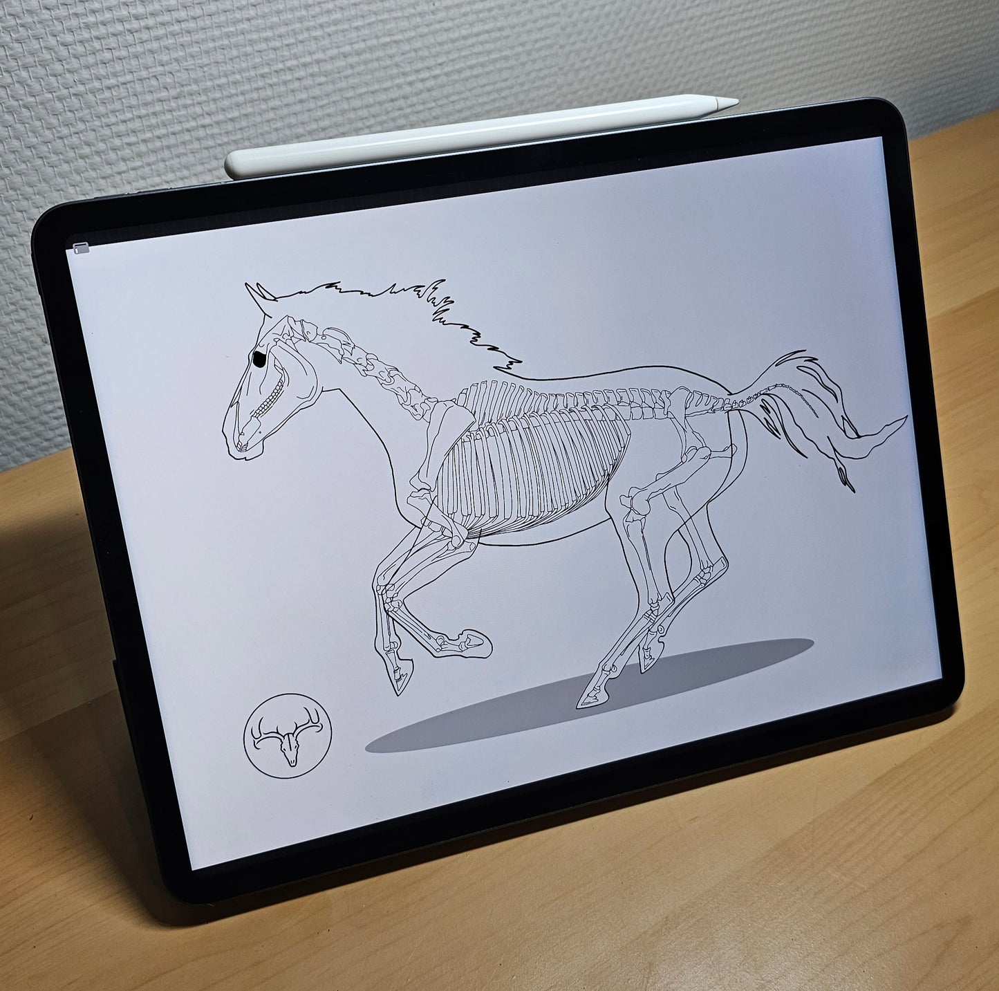 Mug Cheval au galop - 325 ml (11 oz) Dessine moi un squelette