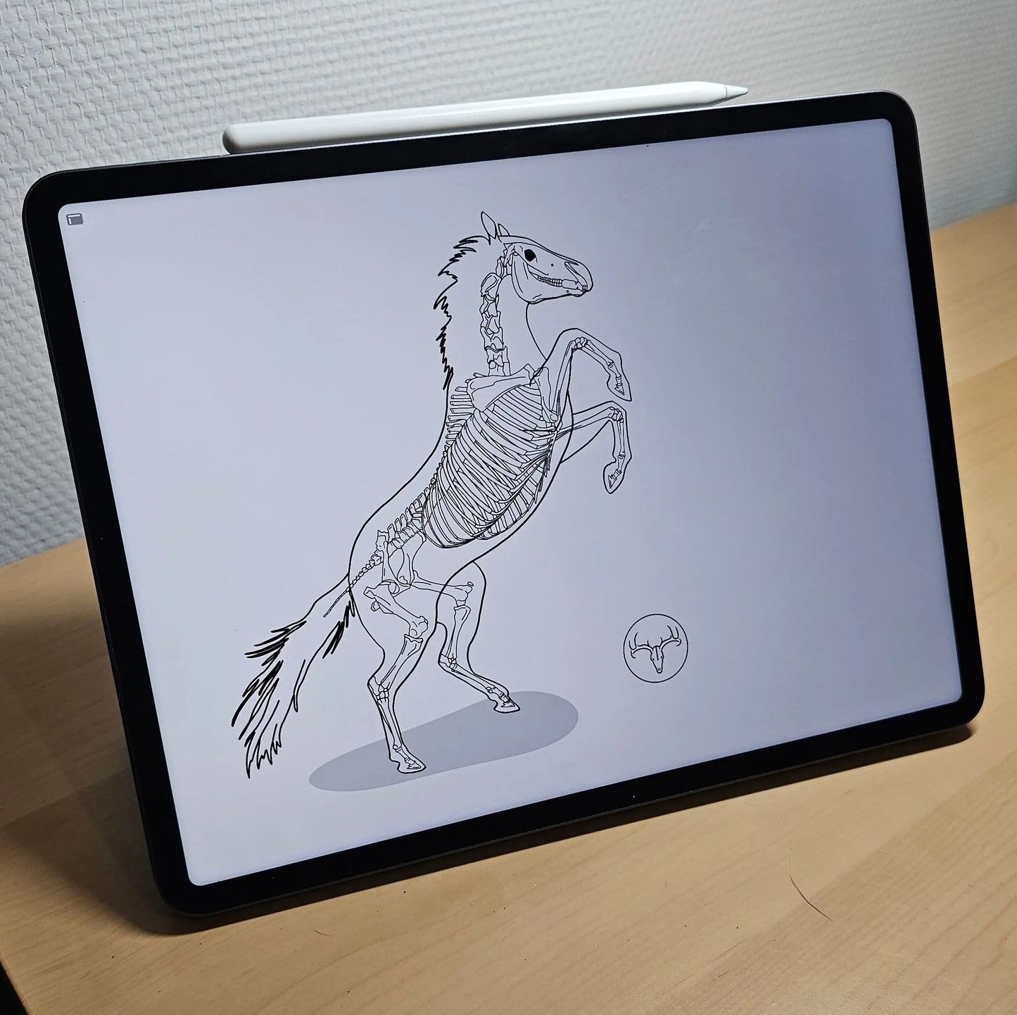 Mug Cheval cabré - 483 ml (17 oz) Dessine moi un squelette