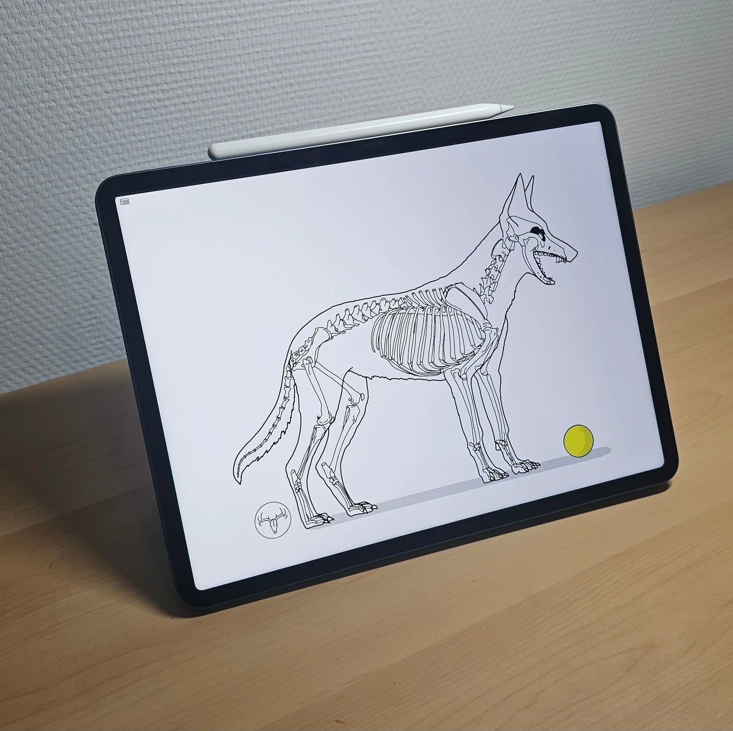 Mug Chien et Balle Jaune - 443 ml (15 oz) Dessine moi un squelette