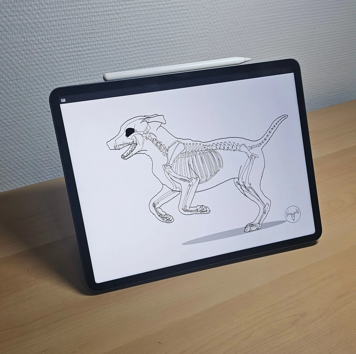 Mug Chiot - 325 ml (11 oz) Dessine moi un squelette