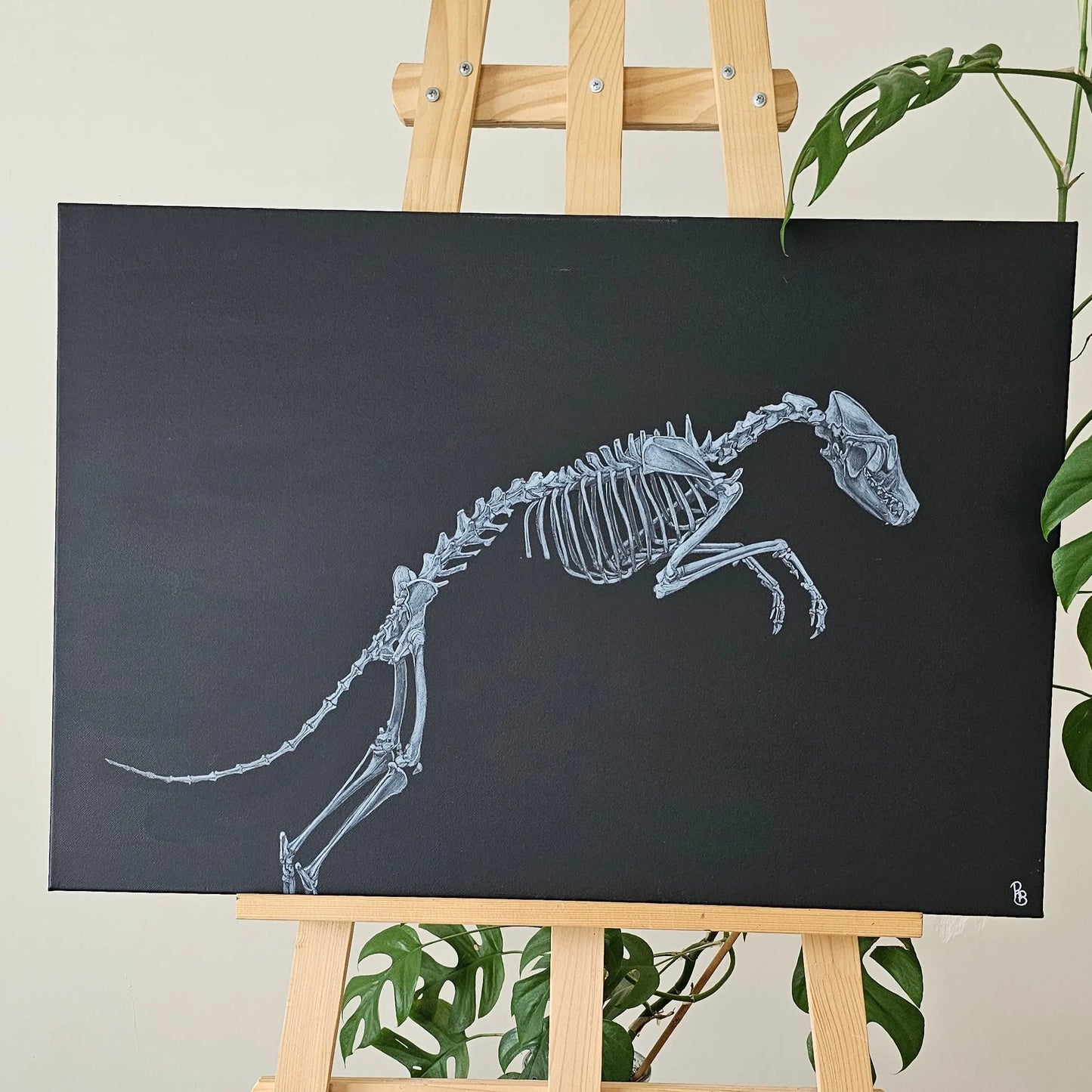 Renard en saut Dessine moi un squelette