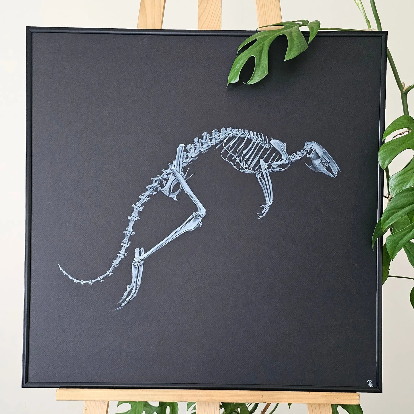 Wallabi Dessine moi un squelette