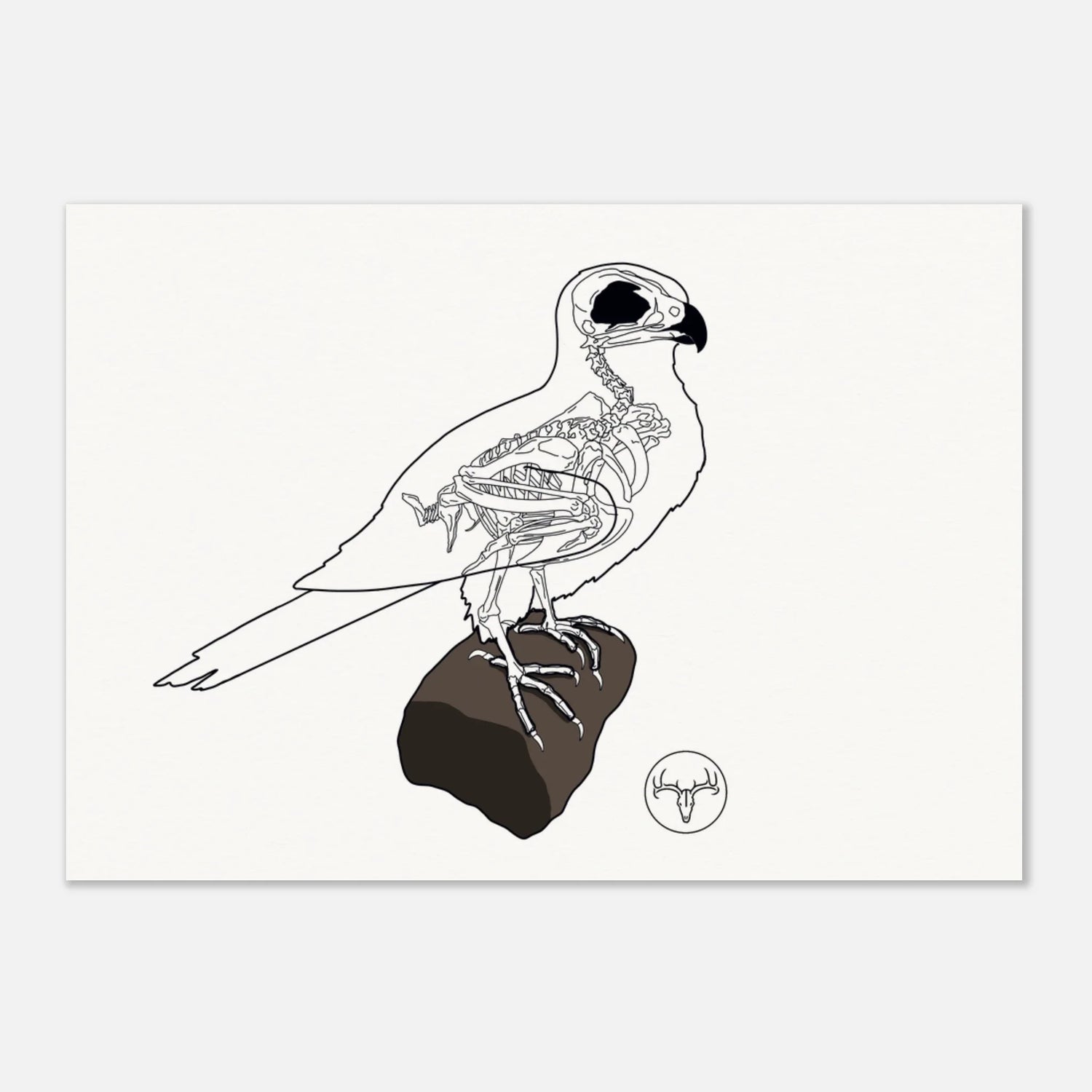 Posters Oiseaux