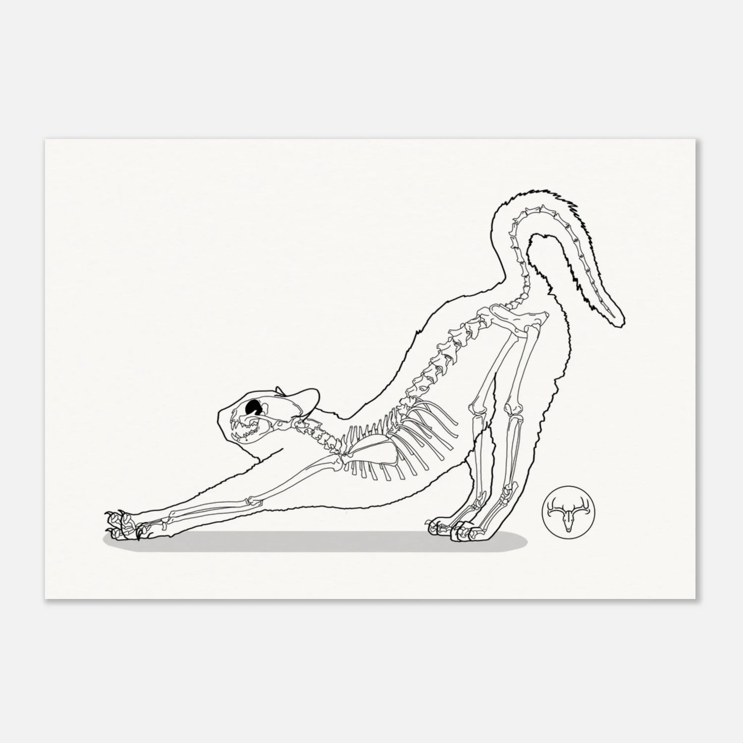 Posters Chats