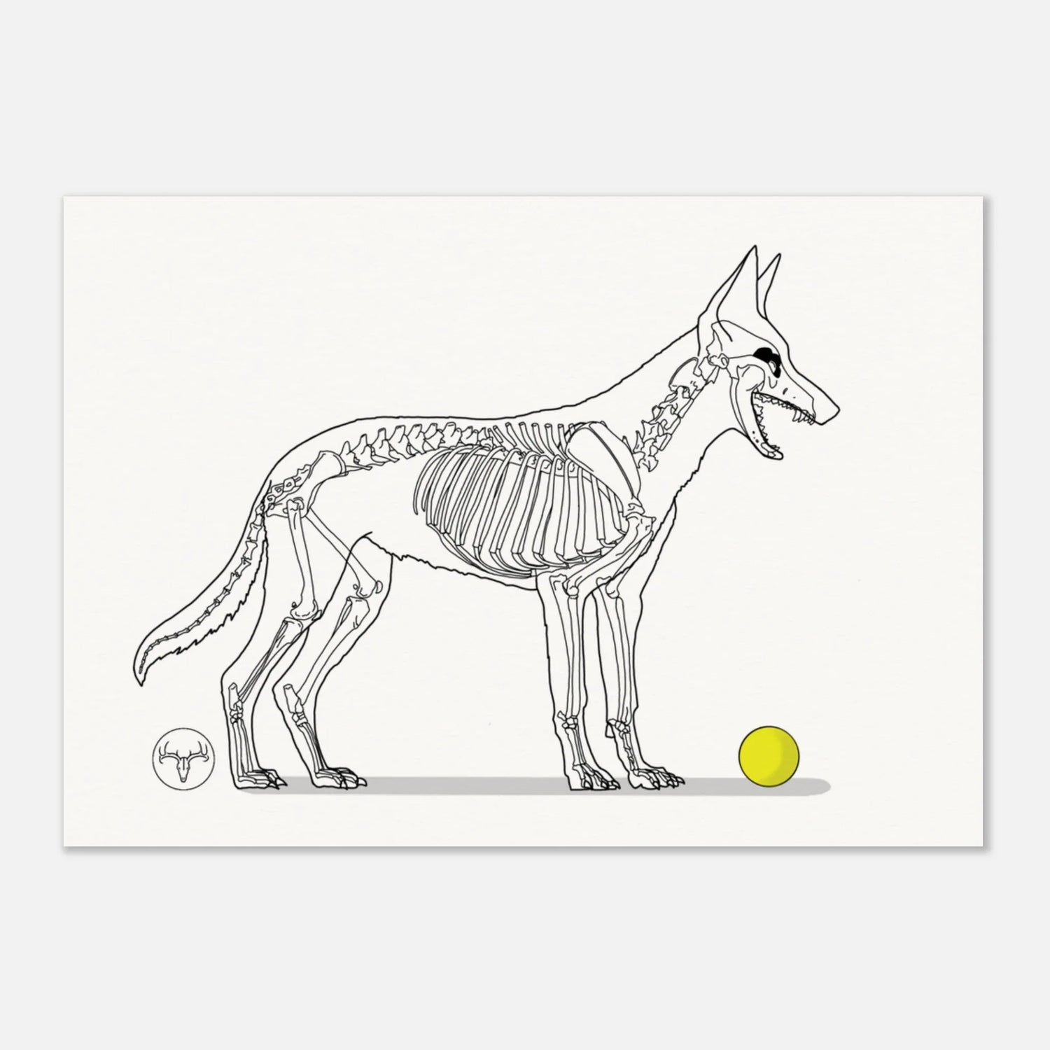 Posters Chiens