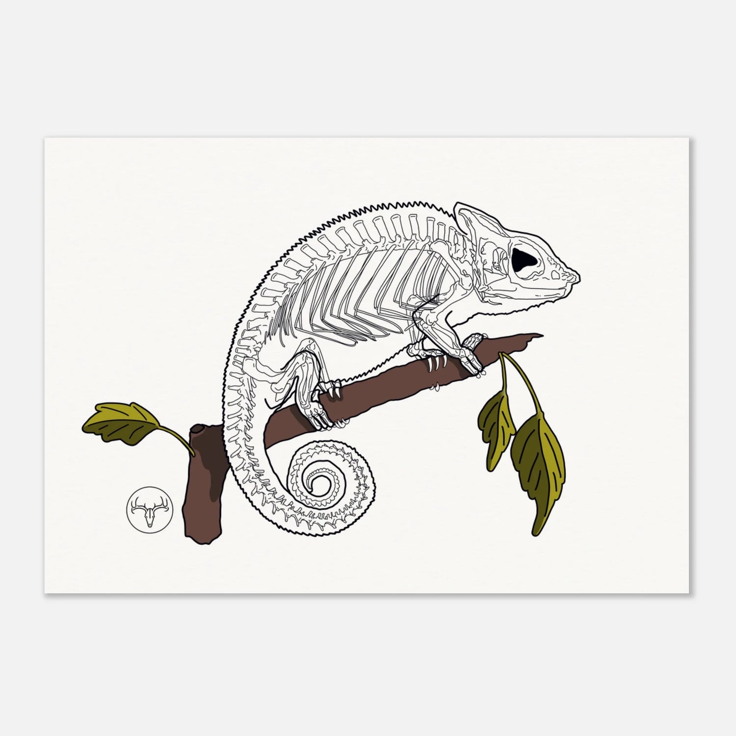 Posters Reptiles