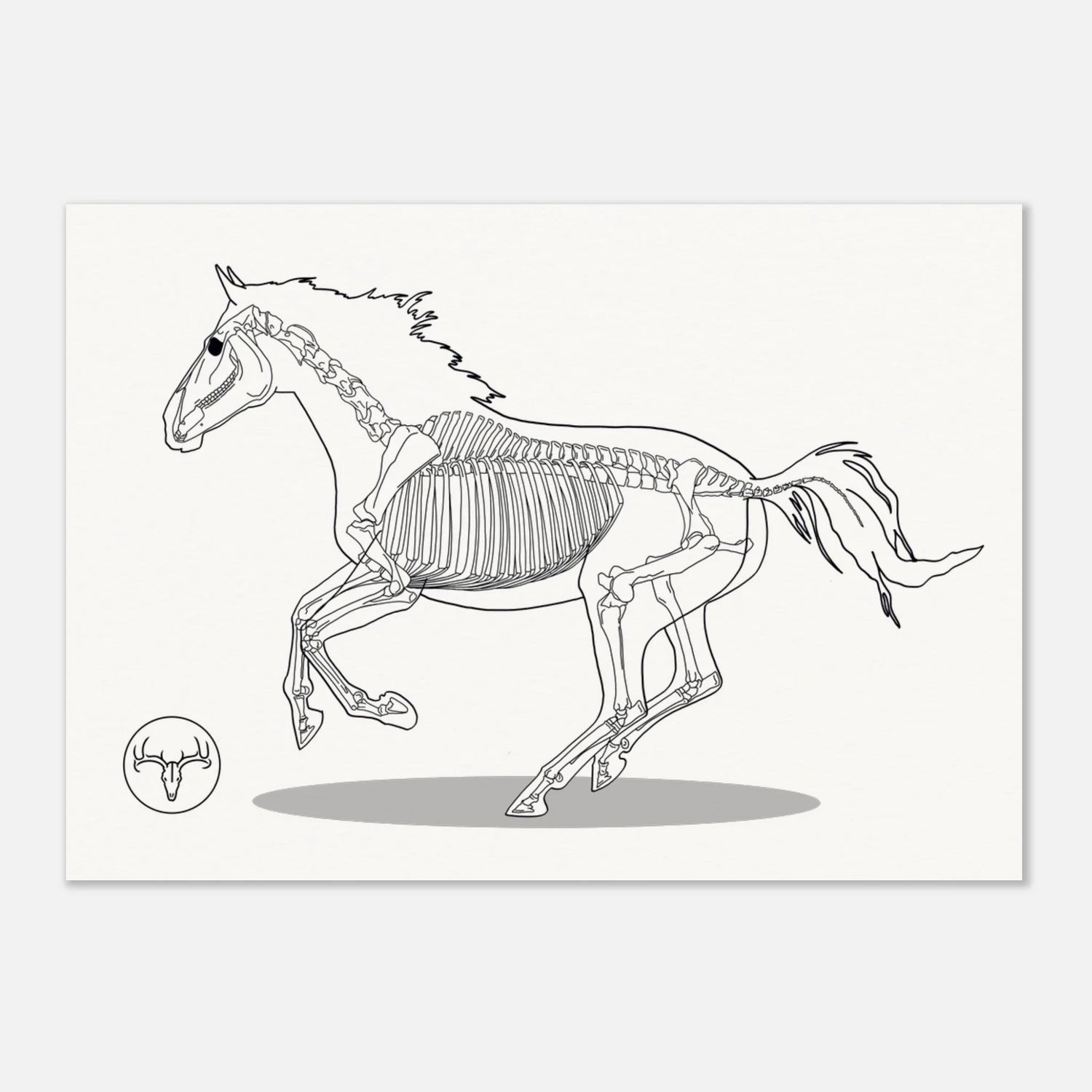 Posters Chevaux