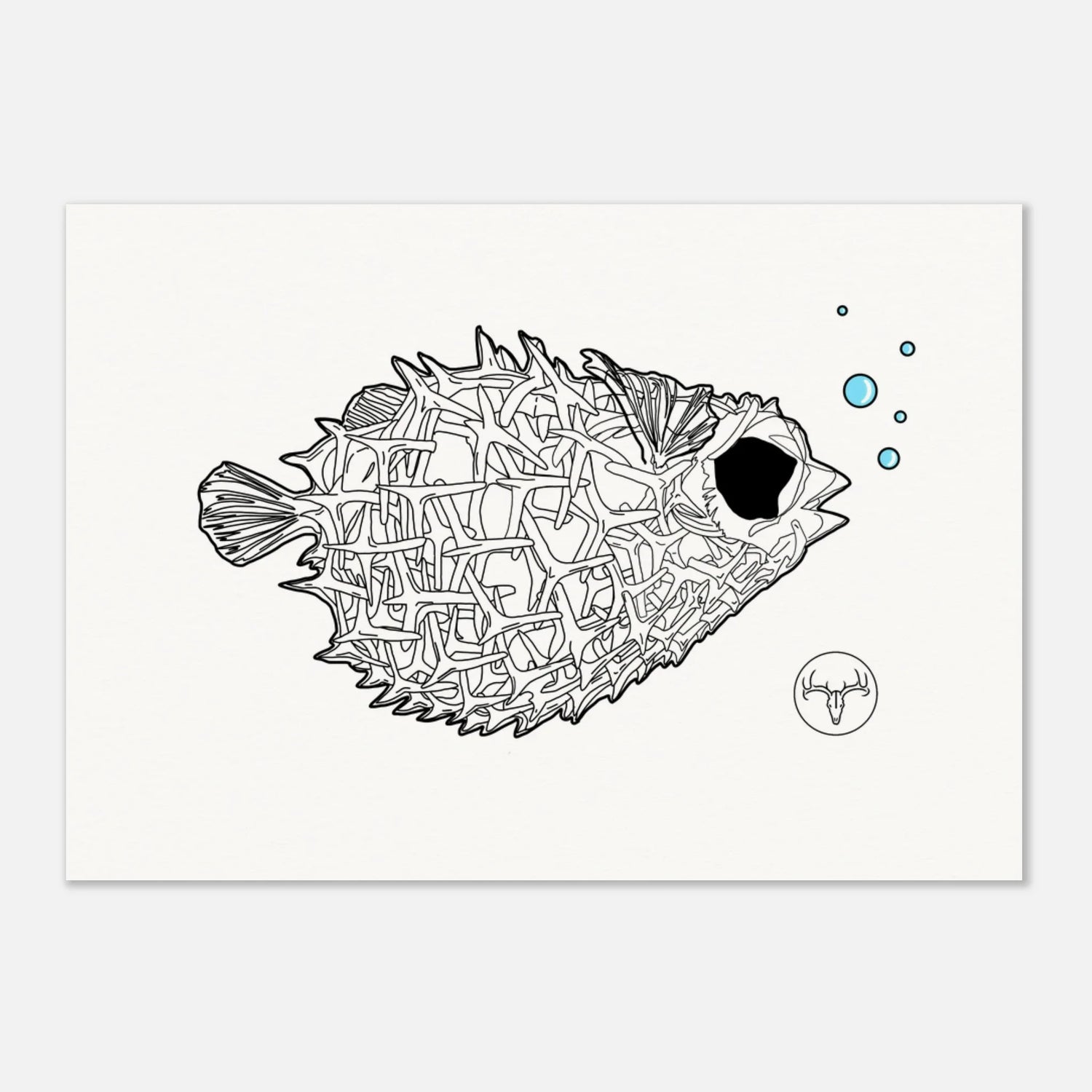 Posters Poissons